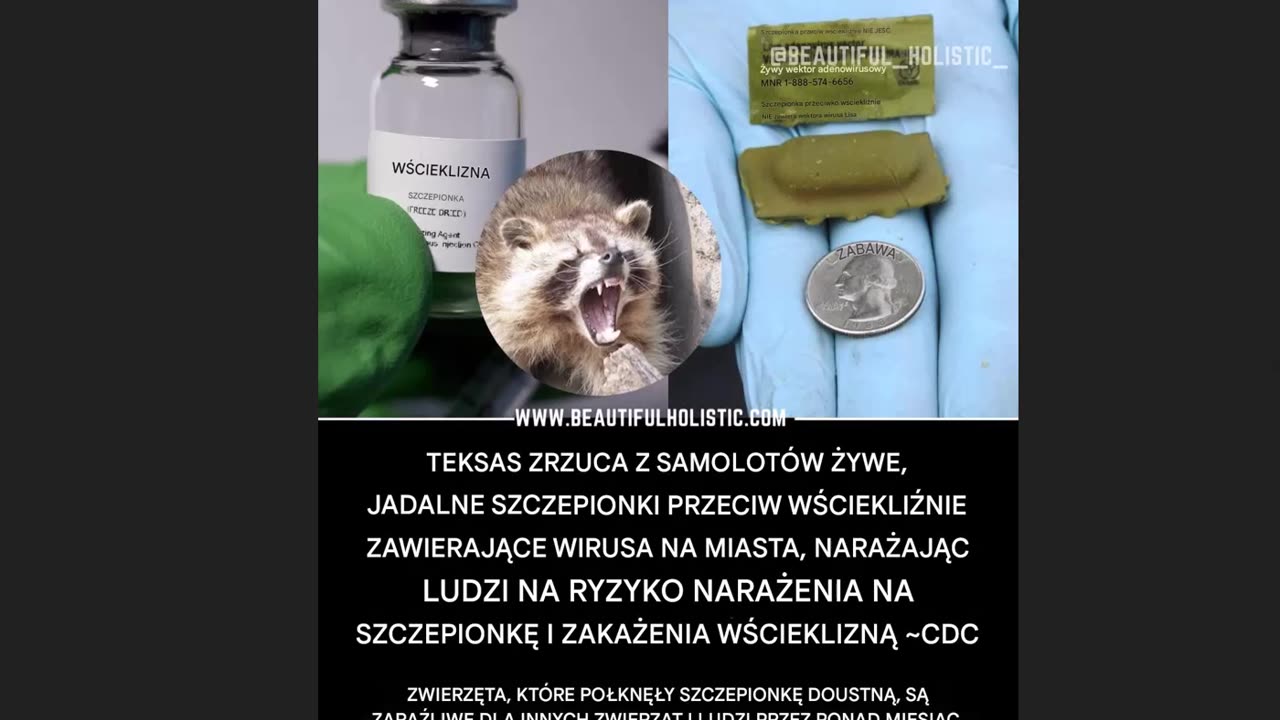 Teksas obecnie rozrzuca z samolotów 700 000 przynęt z żywą szczepionką na wścieklizne w 19 hrabstwach przygranicznych.