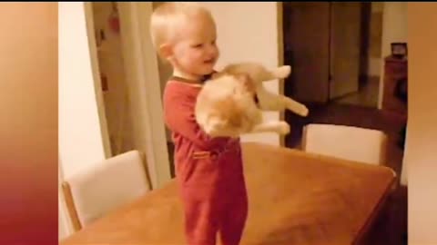 FUNNY ANIMALS 🙀 2025