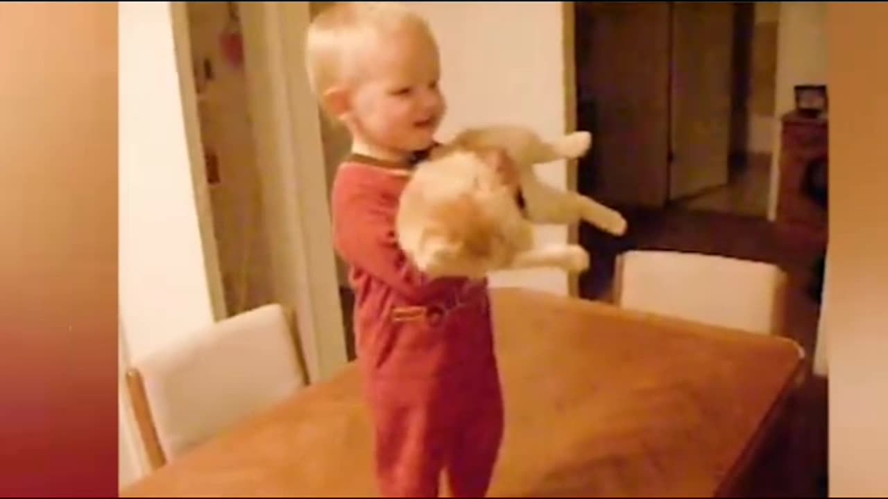 FUNNY ANIMALS 🙀 2025