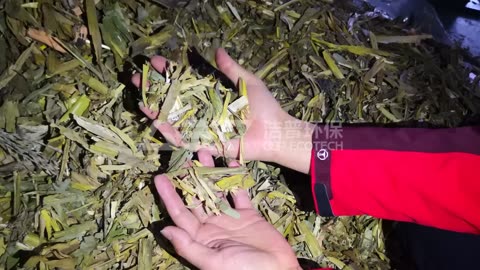 Shred Corn Stalks with Double Shaft Shredder Power!