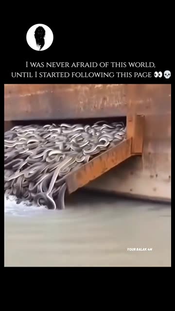 What could this be 😳😳😳