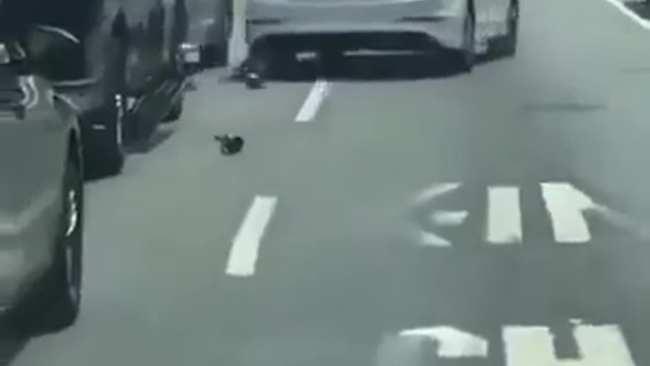 Autista reagisce al tentativo di furto dell'auto