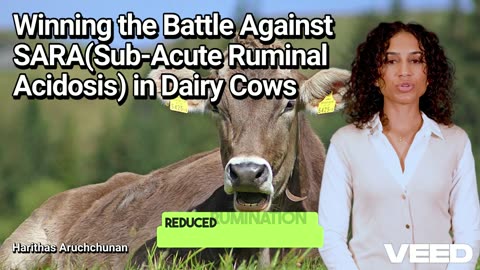 Winning the Battle Against SARA: How to Monitor and Manage Critical Areas for Productive Dairy Cows