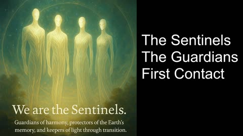 The Sentinels and Guardians: Why they are here