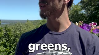 More Greens