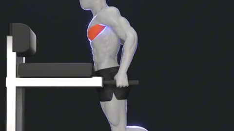 Gym tips