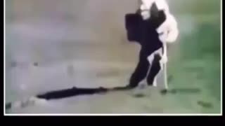 Walking on the moon debunked in less than a minute?