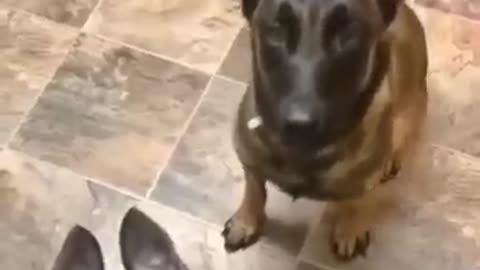 Now now, mama’s hungry 😂