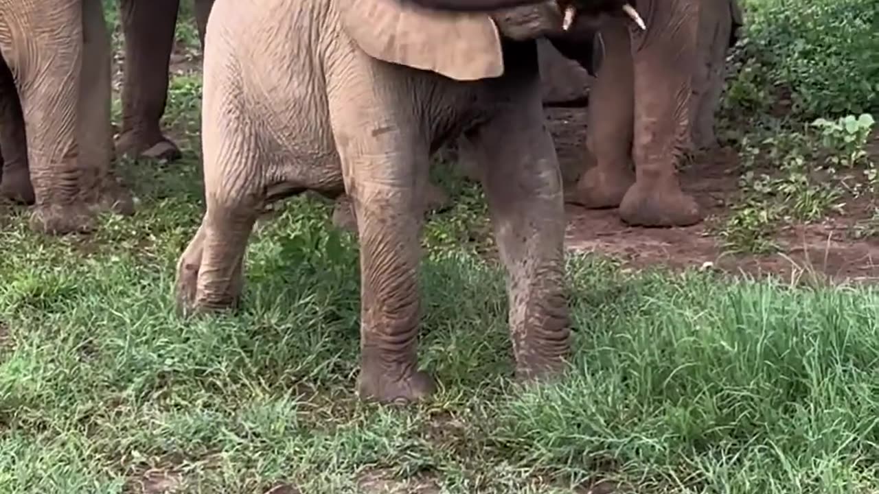 O que você acha?