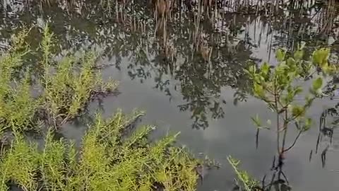 Emergencia en Punta Canoa
