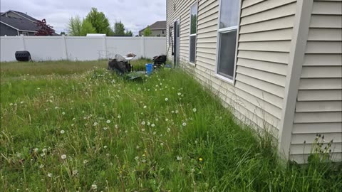 Night Shift Father Was READY To Mow But I Surprised His Family With THIS_part13