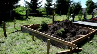 🪲 INSECTS EXPOSE HIDDEN GRAVES Before Dogs Can! Forensic Discovery 🕵️‍♂️v