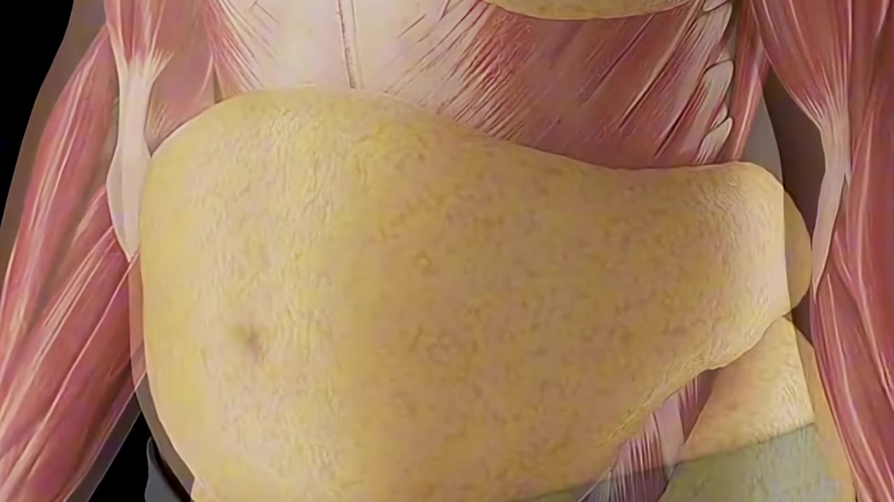 WHAT Happens When You FAST for 36 HOURS (You’ll Be SHOCKED)