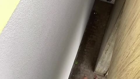 😱😵 He Saw His Life Flash Before His Eyes! Shocking Fail | FunFM