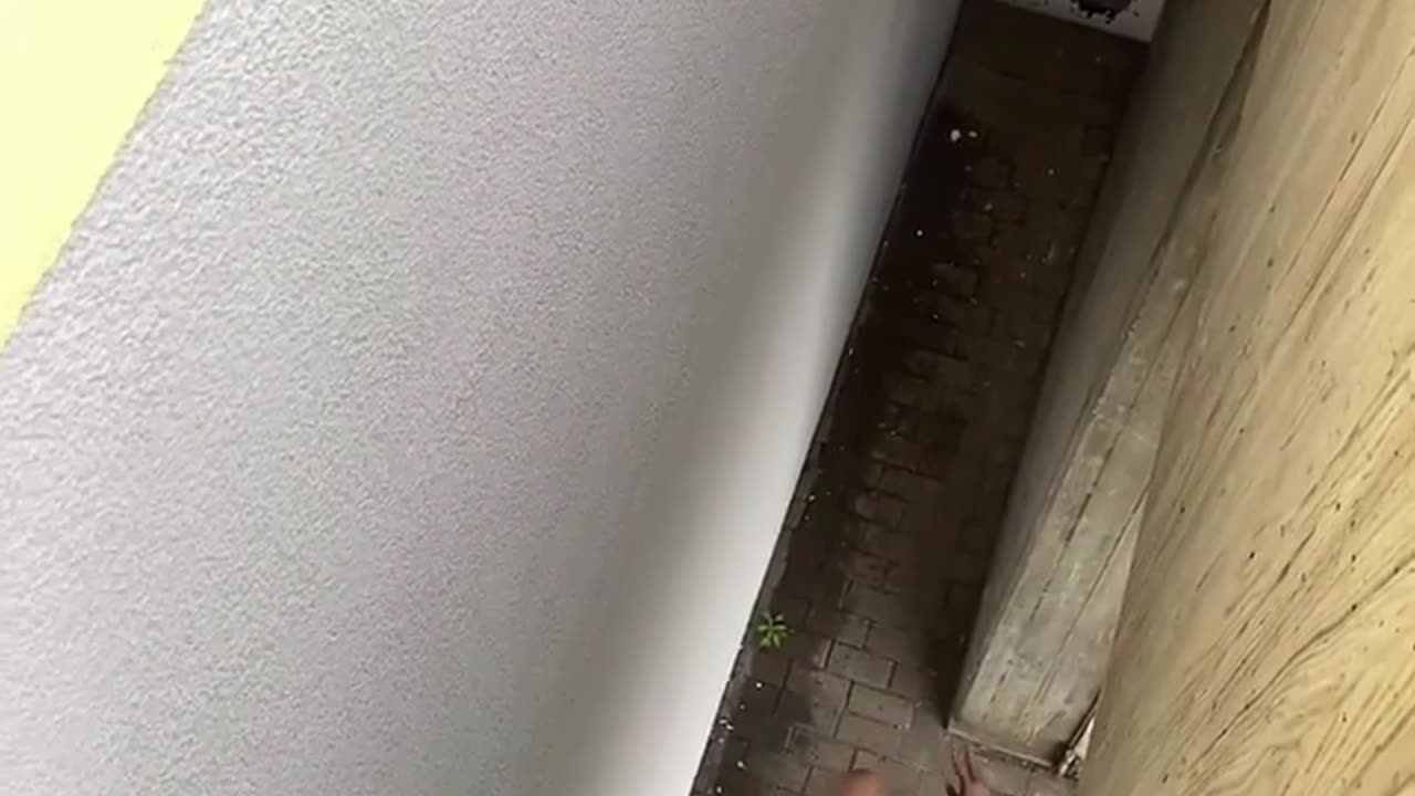 😱😵 He Saw His Life Flash Before His Eyes! Shocking Fail | FunFM