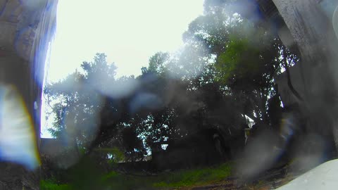 Apenas una nube pasajera con viento, lluvia y granizo - 1 de enero