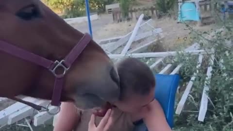 😂🐎 Horse vs Apple: The Ultimate Showdown! | FunFM