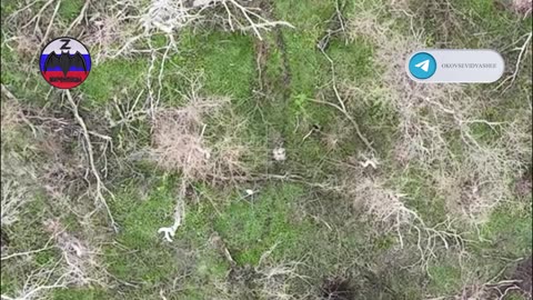 Drone Bomber Eliminated Two AFU Militants