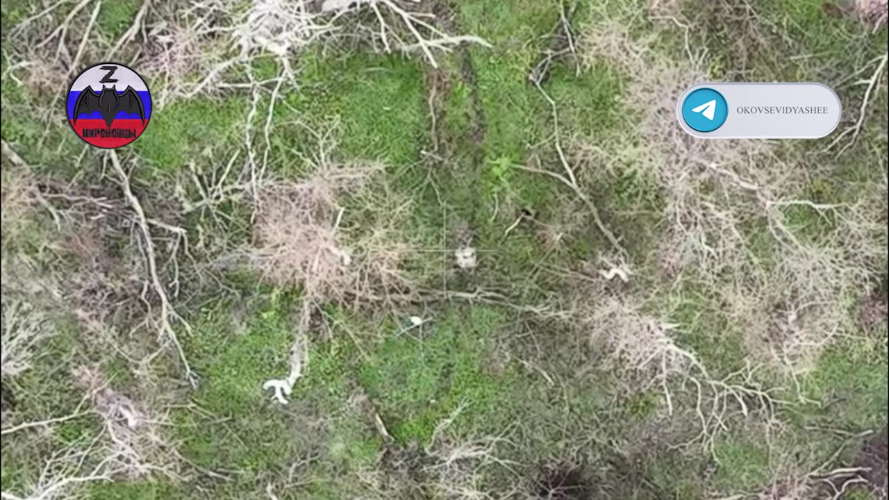 Drone Bomber Eliminated Two AFU Militants