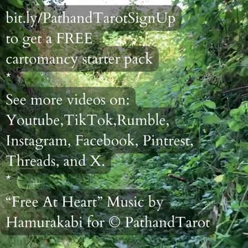 Freedom Of Self | Path and Tarot Reading