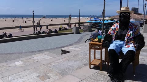 The Beach Captain in Time-Lapse. Huntington Beach, California. Ape-ril Fools Day Edition. TL 061
