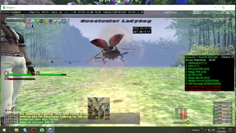 Playing Final Fantasy XI Online