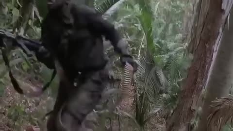 PREDATOR | ARNOLD SCHWARZENEGGER MOVIE