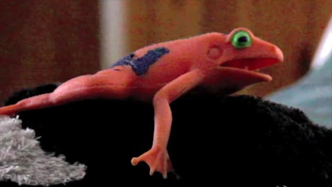 Best Imaginary Quotes (Andrew Blaze - Randy Stair)