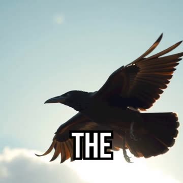 Elijah and the Ravens.