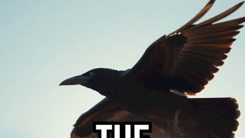 Elijah and the Ravens.