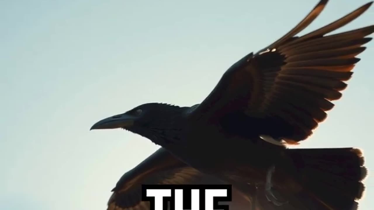 Elijah and the Ravens.