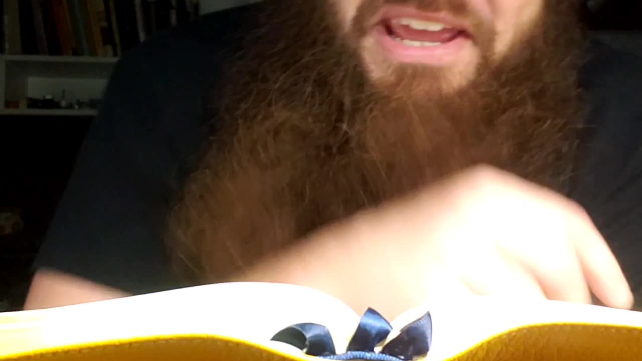 August 4th, One Year Bible Reading by Ardee..