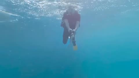 360 ' Diving the Red Sea -