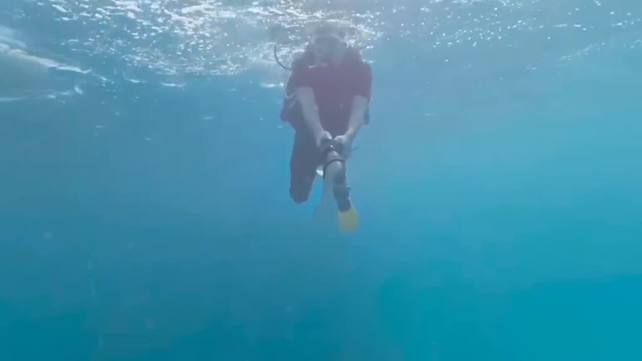 360 ' Diving the Red Sea -