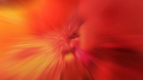 shhh the chicks are sleeping #SparklegleamFarm #Chicken #homestead #farmanimals #cute