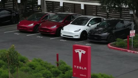 Tesla Makes a Desperate Move in Canada As Sales Collapse