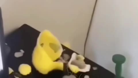 Pikatchu Stop Looking At Me Like That !!