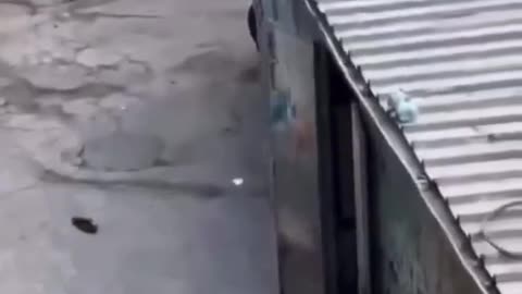 ⚠️👦 Israel-Palestine Conflict | IDF Shoots Child in Hebron | RCF