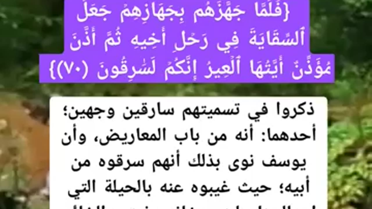كيف وصف اخوه يوسف بانهم سارقون مع انهم لم يسرقوا حقيقه ٕ