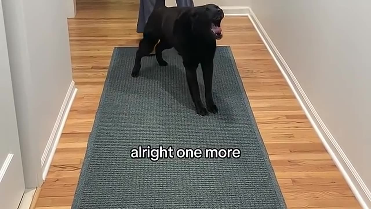 Top 10 Big Stretches