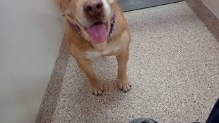 VID_20251123_170722190