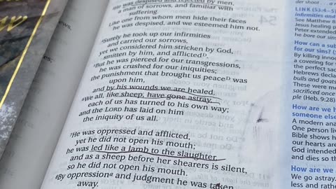 Yeshua references