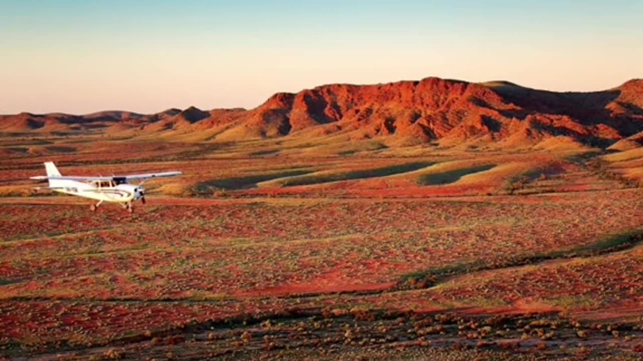 Largest cattle ranch in the world