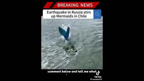 Mermaids - you decide ..