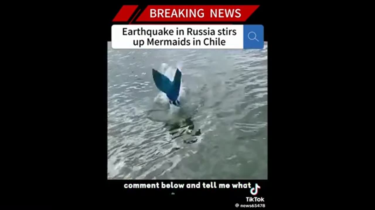Mermaids - you decide ..
