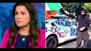 MSM On Los Angeles: Mostly Peaceful Riots