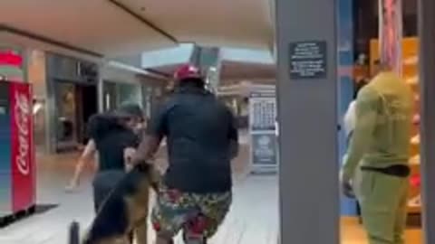 Fake Dog Prank