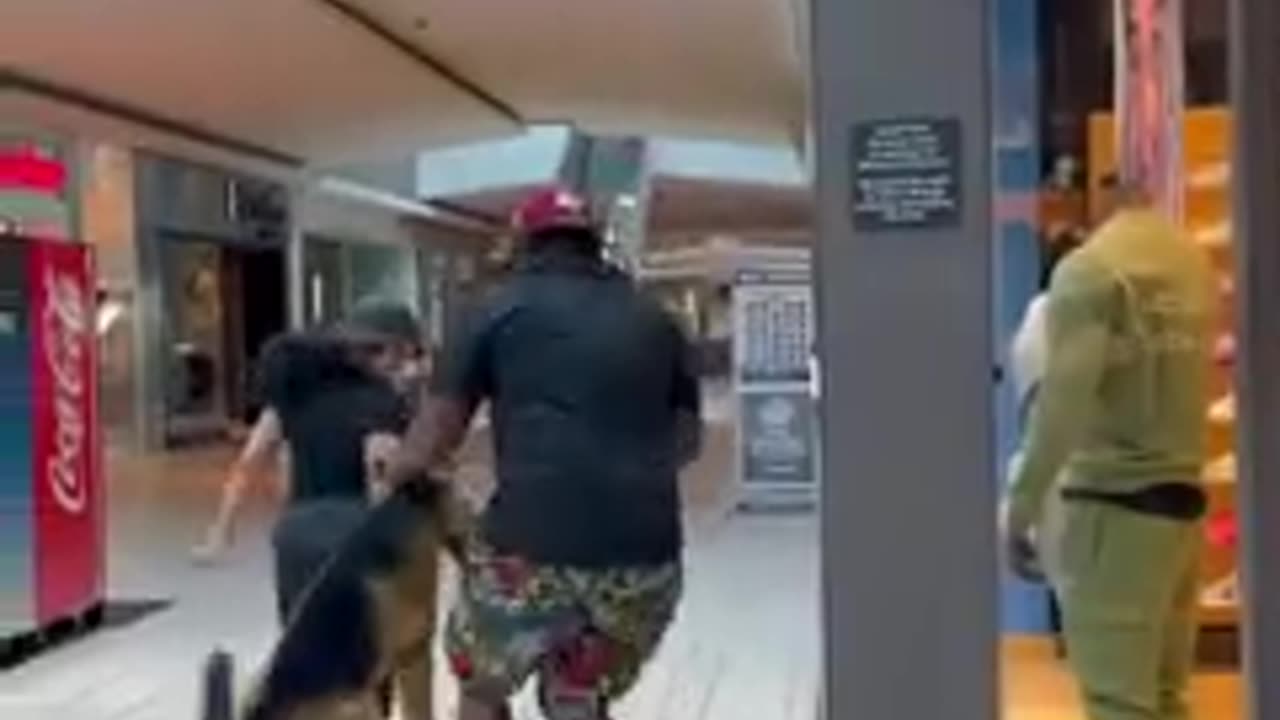 Fake Dog Prank