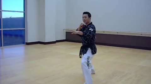 HAPKIDO KICKING COMBINATIONS WHITE BELT TO GREEN BELT TMA