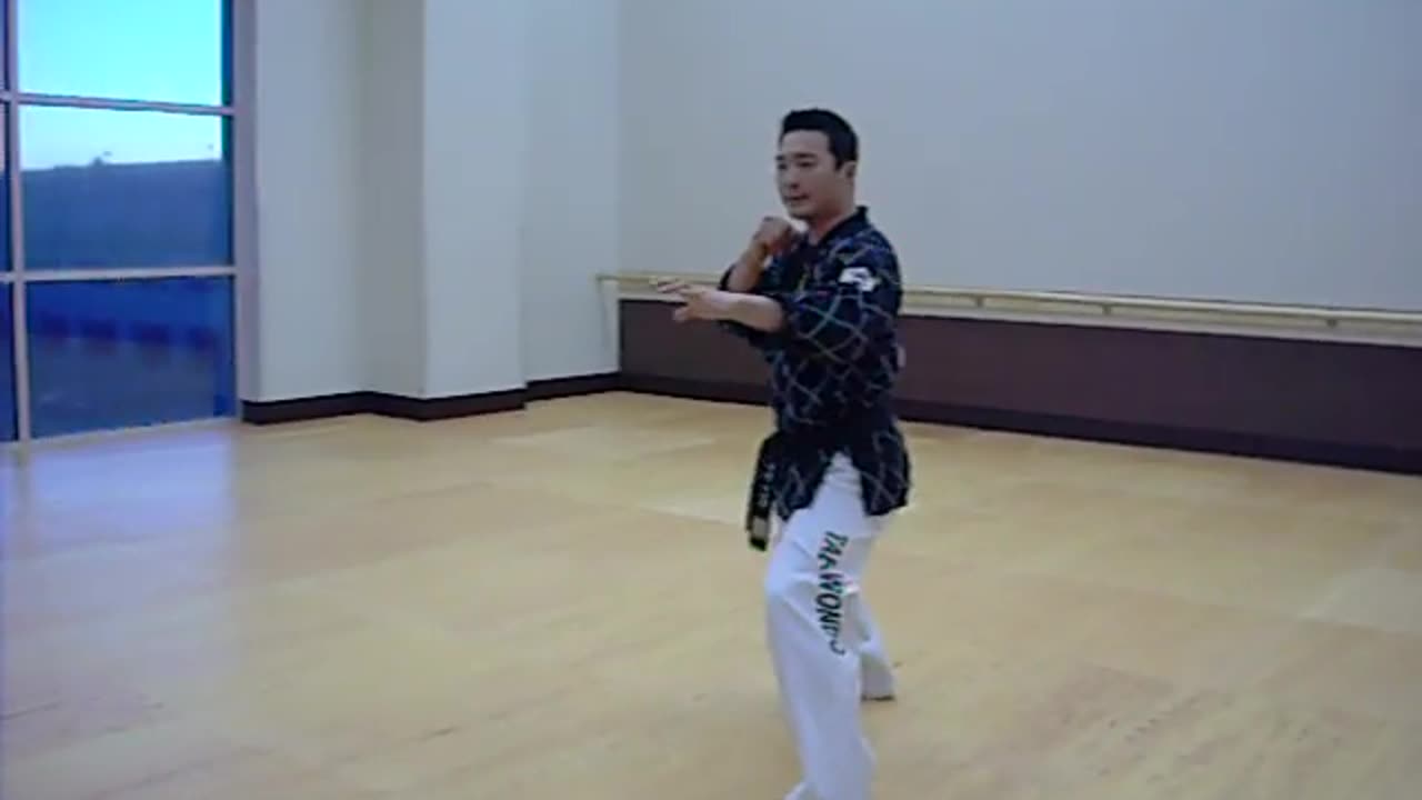 HAPKIDO KICKING COMBINATIONS WHITE BELT TO GREEN BELT TMA